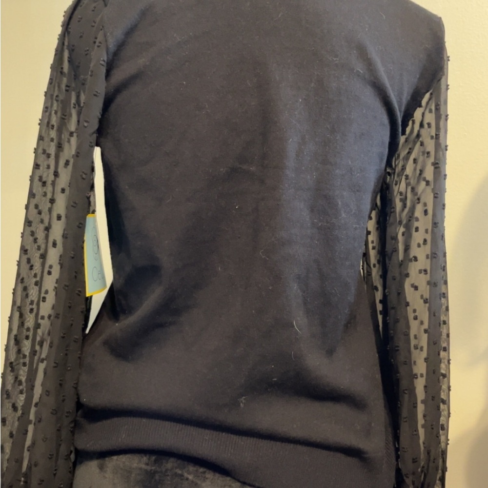 Black Sweater with Sheer Polka Dot Sleeves